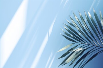 Wall Mural - abstract background with blurred palm leaf shadow for product presentation.