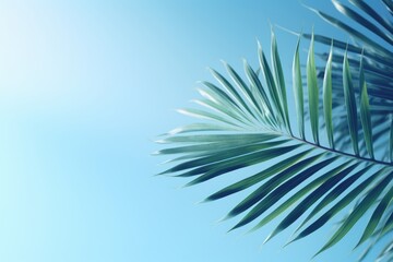 Wall Mural - abstract background with blurred palm leaf shadow for product presentation.