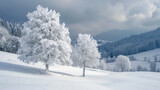 Fototapeta Las - Frozen trees on snowcapped land