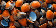 Tranquil Mollusk Shell Backgrounds
Serene Shellfish Textures Collection
Peaceful Oceanic Mollusk Patterns