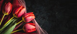 Fototapeta Tulipany - Tapeta w kwiaty, czerwone tulipany na ciemnym tle, puste miejsce 