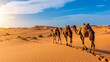 Camel family walking in desert at merzouga
