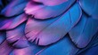 © Ibad - Plumage of tropical unusual fairy birds blue purple feathers as background