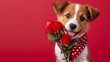 Lovely puppy in heart pattern scarf with roses.