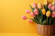 wicker basket with bouquet of tulips flowers on a yellow background with copy space for text, for spring romantic design