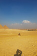 Egypt. Cairo - Giza. General view of pyramids from the Giza Plateau (on front side 3 pyramids popularly known as Queens' Pyramids; next: the Pyramid of Mykerinos, Chephren and Cheops)