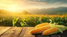 Fresh Yellow Corn On The Cob,organic And Healthy Goodness On A Wooden Table In The Agriculture Farm Field With Sunrise And Mountains Behind It,nature Background,design For Copy Space For Text.