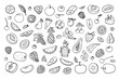 Big set of fruits and berries in doodle style. Pineapple, strawberry, papaya, raspberry, avocado, orange, peach, lemon, banana, apple, pear, watermelon, kiwi, cherry. Vector illustration. Hand drawn