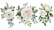 Watercolor Floral Illustration Set. White Flowers, Green Leaves Individual Elements Collection. Rose, Peony, Eucalyptus. For Bouquets, Wreaths, Wedding Invitations, Anniversary, Birthday, Prints
