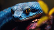 Close-up of a dark blue snake on a tree branch .