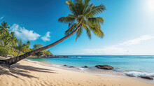 Tropical Beach With Coconut Palm Tree, Seychelles