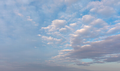 Poster - Blue sky and white clouds background - Pillowy clouds cover a blue sky in the background