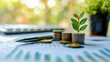 © evgeniia_1010 - A green plant growing on coins against the background of a report on the financial structure of the business. The concept of savings, investments, interest and economic growth