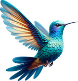 hummingbird PNG images with transparent background