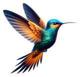 hummingbird PNG images with transparent background