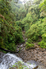 Wall Mural - Top-down view of waterfall in the jungle of Boquete in Panama