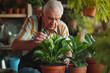 Aged Horticulturist Tending to Potted Greenery
