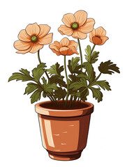 Wall Mural - Anemone flower illustration in a pot isolated on transparent background