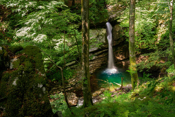 Sticker - Picturesque waterfall hidden deep in the forest.