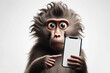 surprised baboon monkey with bulging big eyes point on smartphone with white screen on white background. ai generative