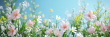 Colorful spring flowers on panoramic banner