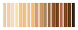 © Kingwardobe - Human skin tone set light to dark. Vector Art.