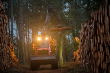 Fototapeta Most - Machinery for the forestry industry and transport of wood at night