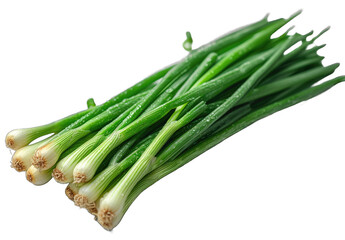 fresh green onion