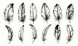 Leinwandbild Motiv bird feathers. Hand drawn illustration converted to vector. Outline with transparent background