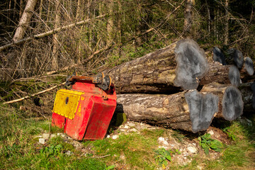 Poster - Timber Log Pile, The Lake District, Cumbria, England