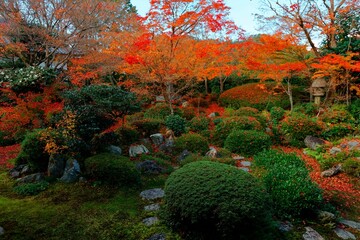 Wall Mural - Scenic view of a stone lantern under fiery maple trees in the beautiful garden of Genkoan, a Buddhist Temple in Kyoto, Japan, famous for its colorful autumn foliage in the Zen garden of Japanese style