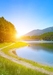 Wall Mural - Morning with bright sun on the shore of picturesque lake.