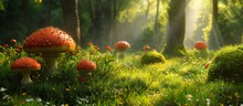 Lush Green Grass Surrounds Vibrant Mushrooms Amidst A Serene Landscape Of Mushrooms, Green Grass, And Tranquility