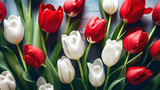 Fototapeta Tulipany - Wiosenne tło kwiatowe, czerwone i białe tulipany