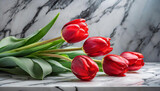 Fototapeta Tulipany - Czerwone tulipany leżące na marmurze, martwa natura