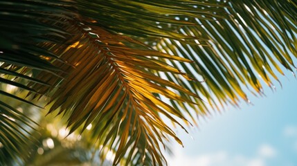 Aufkleber - A close-up view of a palm tree with a vibrant blue sky in the background. Perfect for tropical and summer-themed designs