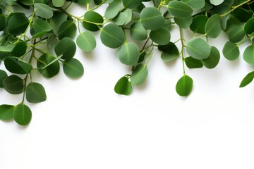 Poster - A bunch of green leaves on a white surface. Suitable for nature-themed designs