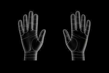 Poster - A pair of black gloves with a wrist and palm. Suitable for various activities