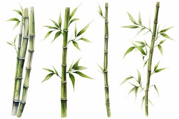 Poster - A drawing of a bamboo tree with lush green leaves. This picture can be used for various purposes, including nature-themed projects and Asian-inspired designs