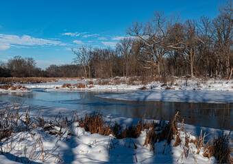 Wall Mural - 711-73 Shoreline Winter Cattails