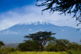 Fototapeta Sawanna - Kilimandżaro w świetle zachodzącego słońca