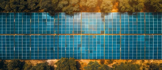 Wall Mural - Bird's Eye View: Captivating Solar Panels in a Mesmerizing Bird's Eye View of Solar Panels