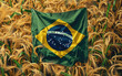 
Bandeira do Agro Brasileiro, texto 