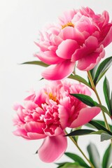 Aufkleber - Two pink flowers arranged in a vase placed on a table. Perfect for adding a touch of elegance to any space