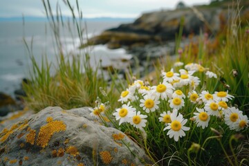 Poster - A beautiful arrangement of white and yellow flowers resting on a rock. Perfect for adding a touch of nature to any project