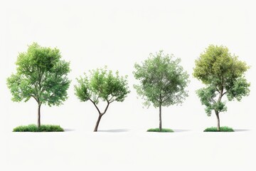 Aufkleber - A picture showcasing a cluster of trees standing close together. Ideal for nature-themed projects or illustrating the concept of unity and togetherness