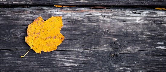 Sticker - Vibrant Yellow Leaf with Natural Wood Texture in a Stunning Natural Wood Texture Background