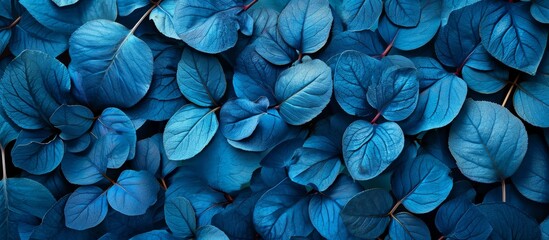 Wall Mural - stunning natural leaves in blue: a captivating display of leaves in a natural setting, radiant with 