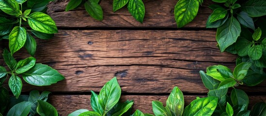 Poster - Vibrant Mandar Green Leaves on Wooden Background - A Stunning Display of Mandar Green Leaves Amidst the Natural Wood Background