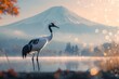 In the Shadow of Mount Fuji, Japan - A Red-Crowned Crane Graces the Serene Landscape, Perfectly Encapsulating Harmony with Tranquil Waters and Majestic Mountain.
